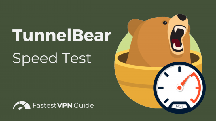 Впн tunnelbear